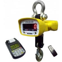 Крановые весы КВ-10Т- с ПДУ580